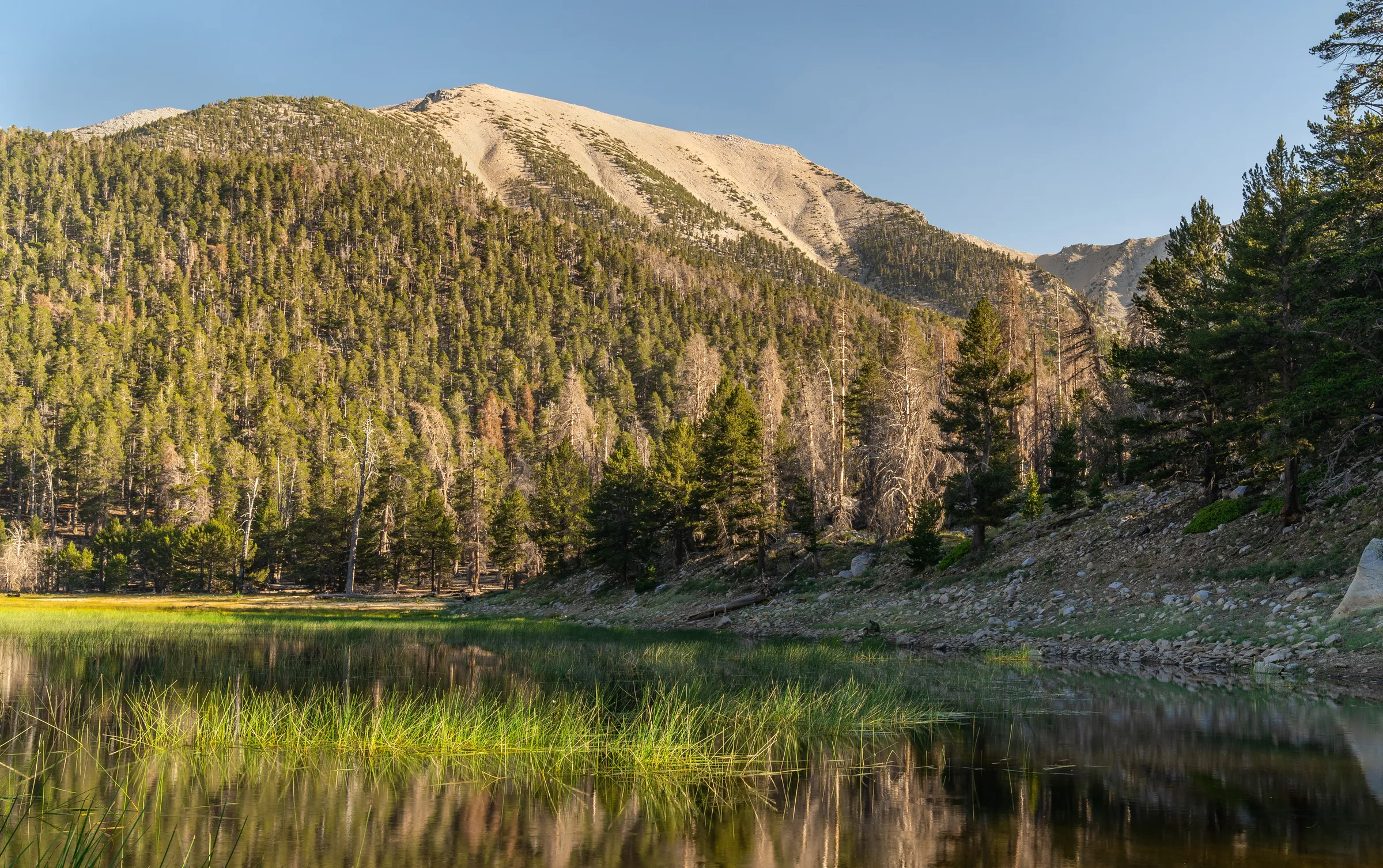 Panoramic view from the San Gorgonio Wilderness Southern California