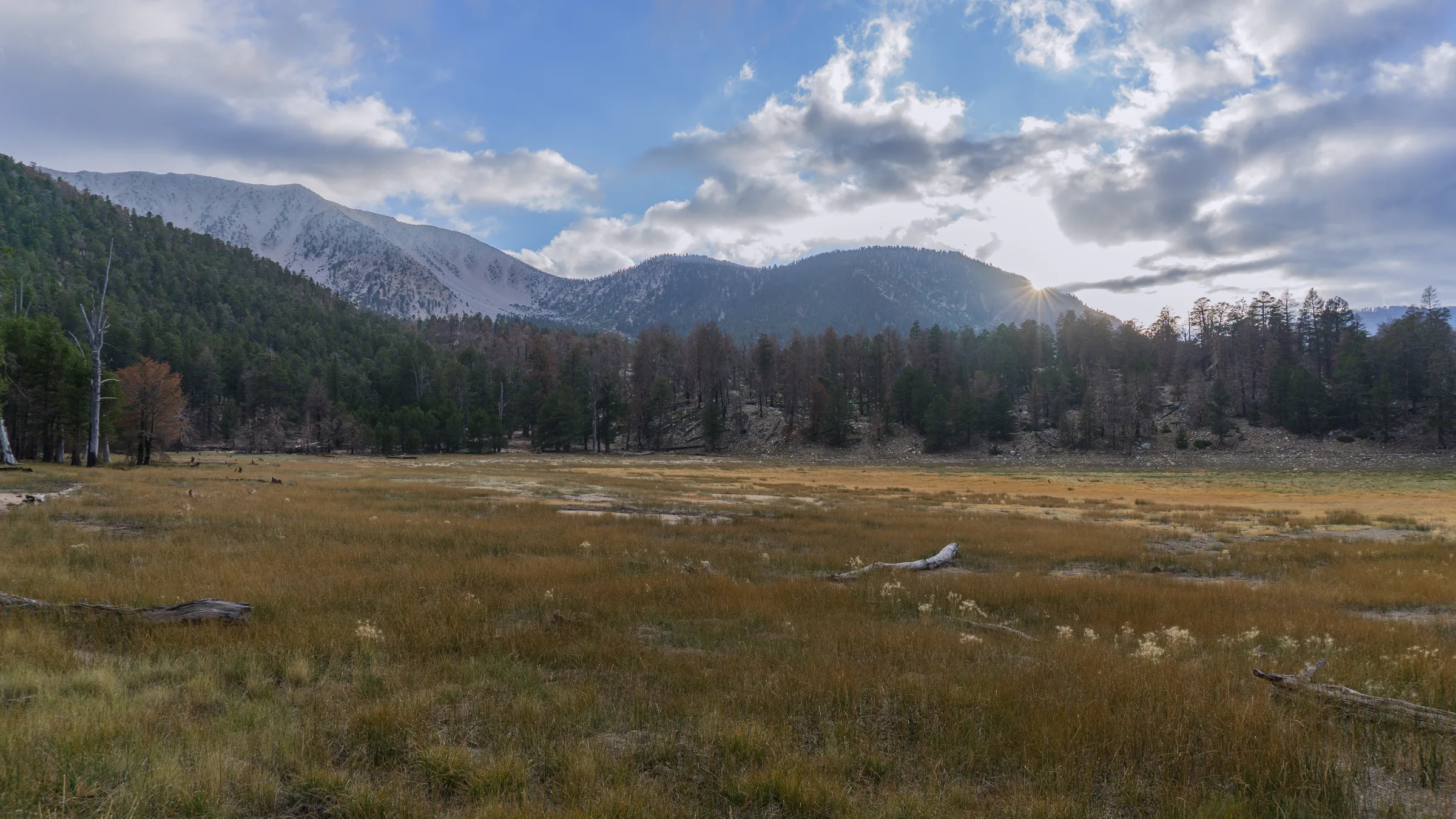 Wide view of the San Gorgonio Wilderness ridgeline and mountain peaks