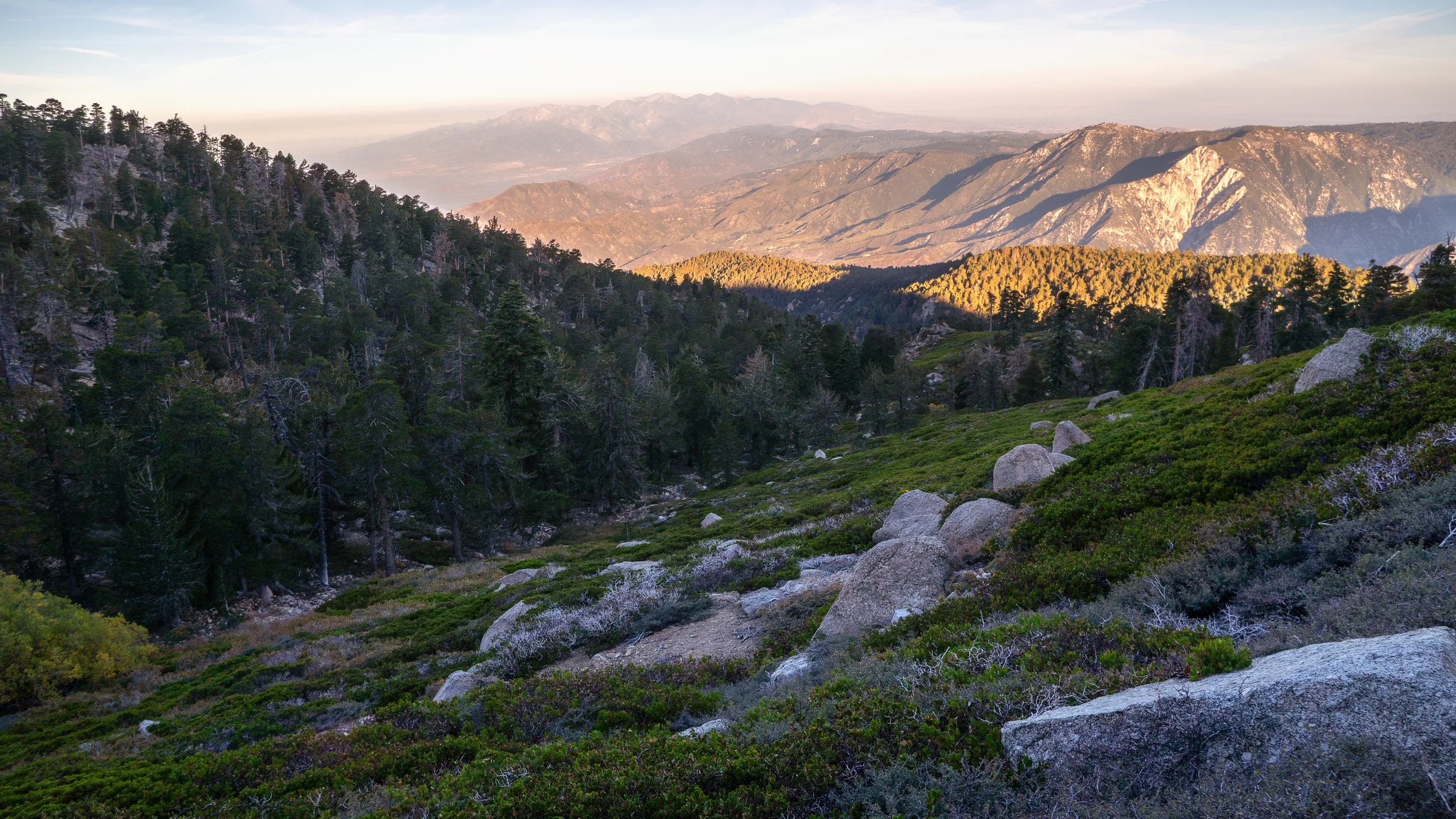 San Gorgonio Mountain trail through the San Bernardino National Forest