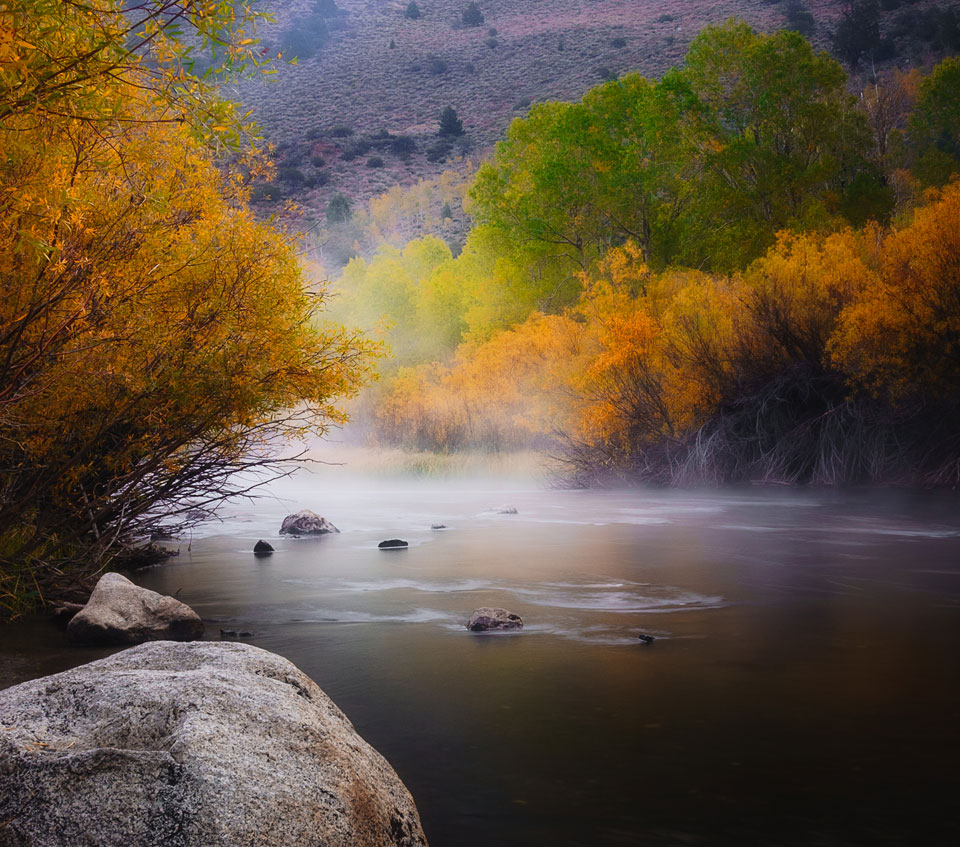 Explore Our Wide Range of Photos