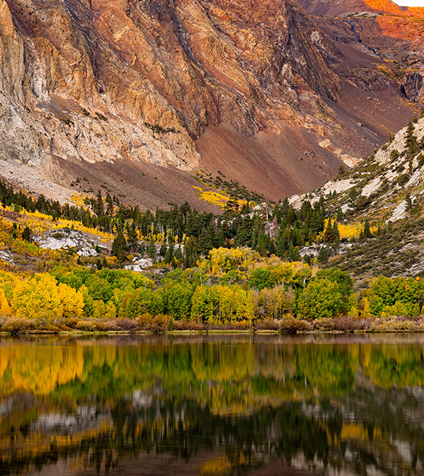 Vibrant Fall Color Trees in the Southern California Mountains - Matt Dunn Visuals Photography